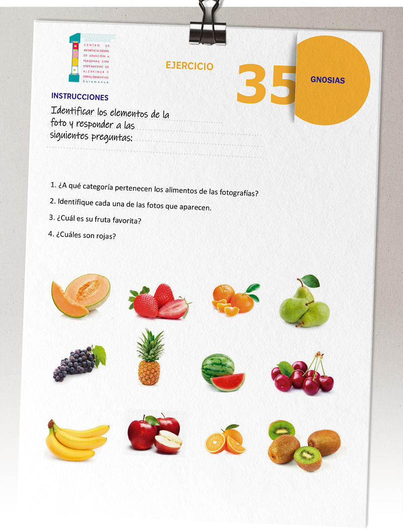 ejercicio gnosias ejercicio gnosias