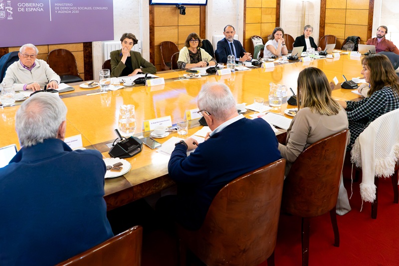Participantes en el Consejo General del Imserso.