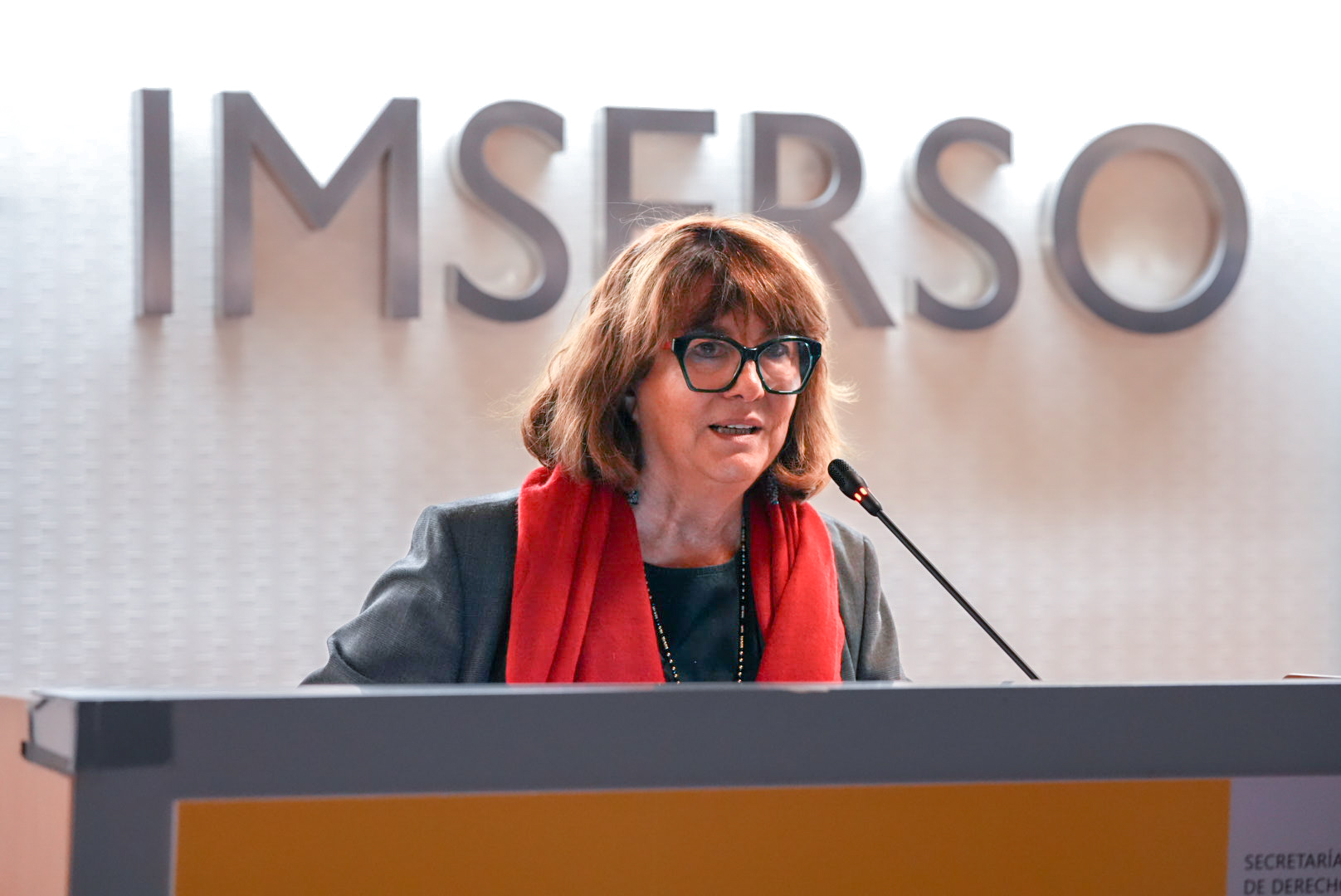 María Teresa Sancho Castiello, directora general del Imserso.