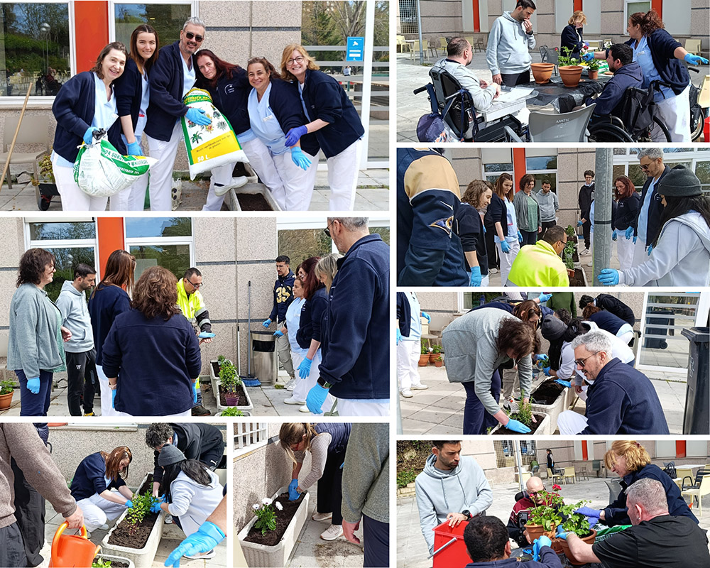 Collage fotos acondicionamiento jardín.